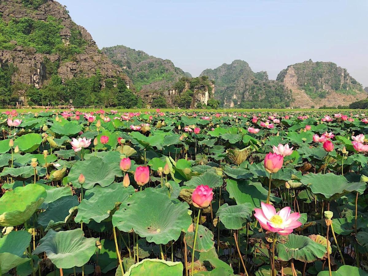 Tam Coc Heart Homestay Ninh Binh Exterior photo